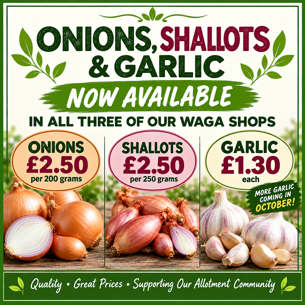 Onions and Garlic