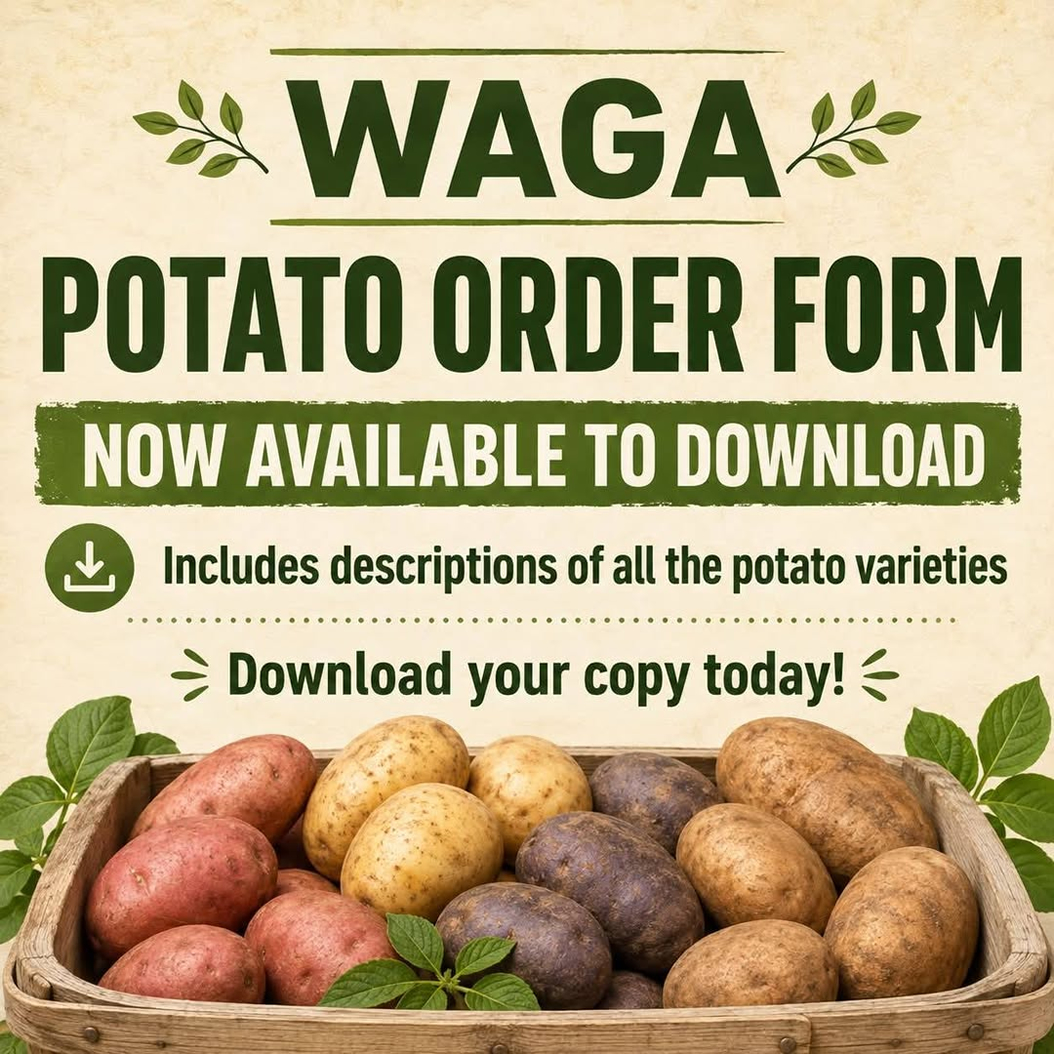 Potato Forms available